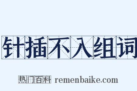 针插不入组词是什么意思的图片